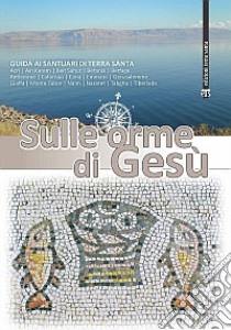 Sulle orme di Gesù. Guida ai santuari di Terra Santa. Ediz. ampliata libro