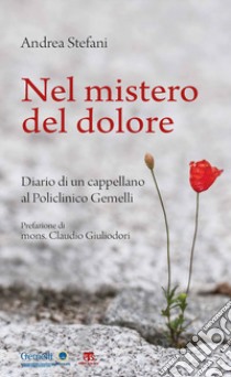 Nel mistero del dolore. Diario di un cappellano al Policlinico Gemelli libro di Stefani Andrea