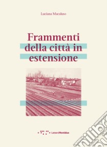 Frammenti della città in estensione libro di Macaluso Luciana