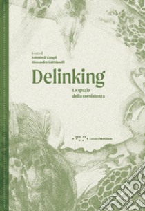 Delinking. Lo spazio della coesistenza. Ediz. illustrata libro di Di Campli A. (cur.); Gabbianelli A. (cur.)