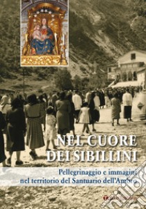 Nel cuore dei sibillini. Pellegrinaggio e immagini nel territorio del Santuario dell'Ambro libro di Capriotti G. (cur.); Diamanti E. (cur.); Diamanti O. (cur.)