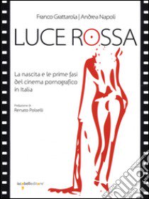 Luce rossa. La nascita e le prime fasi del cinema pornografico in Italia libro di Grattarola Franco; Napoli Andrea