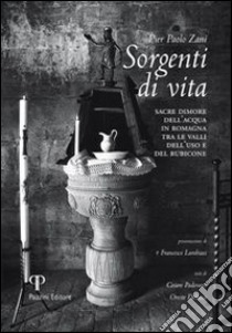 Sorgenti di vita. Sacre dimore dell'acqua di Romagna tra le valli dell'uso e del Rubicone. Ediz. illustrata libro di Zani P. Paolo