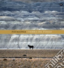 Patagonia. Tierra del fuego. Ediz. illustrata libro di Foà Robin