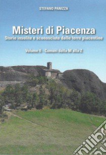 Misteri di Piacenza. Vol. 2 libro di Panizza Stefano