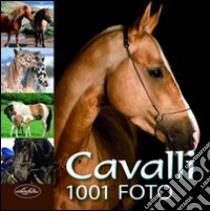 Cavalli libro