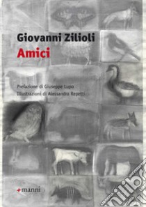 Amici libro di Zilioli Giovanni