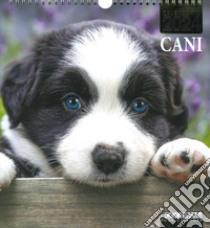 Cani. Calendario 2024. Magnum libro