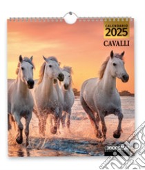 Cavalli. Calendario 2025 libro