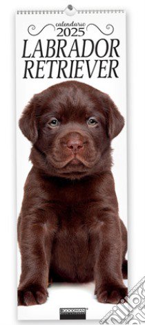 Labrador Retriever. Calendario 2025. Long libro