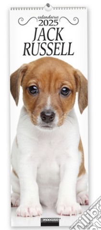 Jack Russel. Calendario 2025. Long libro