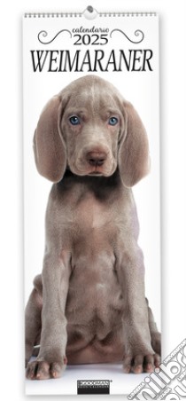 Weimaraner. Calendario 2025. Long libro