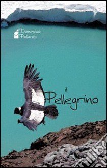 Il pellegrino libro di Piolanti Domenico