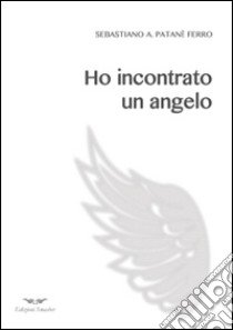 Ho incontrato un angelo libro di Patanè Ferro Sebastiano