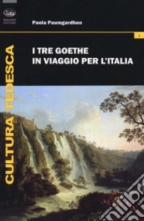 I tre Goethe in viaggio per l'Italia libro di Paumgardhen Paola