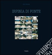 Irpinia di fonte. Ediz. illustrata libro di Nicolella Dario