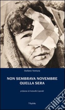 Non sembrava novembre quella sera libro di Ventura Stefano