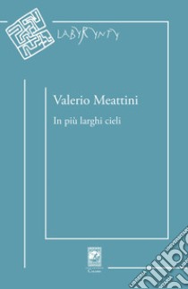 In più larghi cieli libro di Meattini Valerio