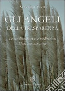 Angeli della trasparenza. Le canalizzazioni e le meditazioni. L'energia universale libro di Vivo Gaetano