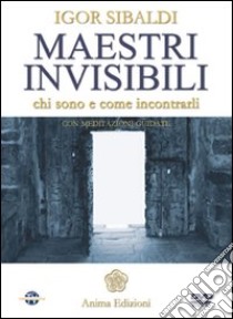 Maestri invisibili. Chi sono e come incontrarli. Con DVD libro di Sibaldi Igor