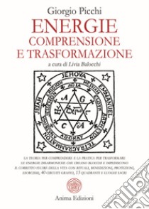 Energie. Comprensione e trasformazione libro di Picchi Giorgio