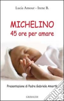 Michelino. 45 ore per amare libro di Amour Lucia; Irene B.