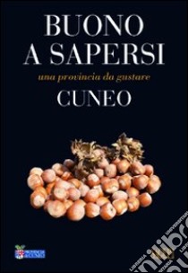 Cuneo libro di Avanzino Alessandro