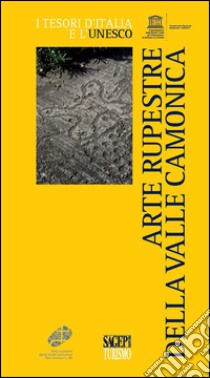 Arte rupestre della Valle Camonica libro