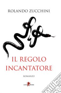 Il regolo incantatore libro di Zucchini Rolando