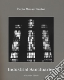 Industrial sanctuaries. Ediz. illustrata libro di Mussat Santor Paolo; Xiao J. (cur.)