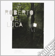 Roberto de Luca. Ediz. illustrata libro di Mazzari