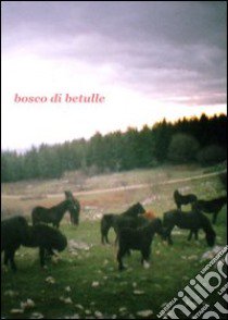 Bosco di betulle. Ediz. italiana e inglese libro di Lanzarini Francesca; Niccolai Viola; Rocchi Silvia