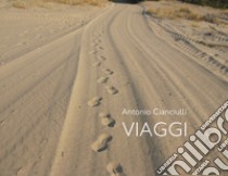 Viaggi libro di Cianciulli Antonio