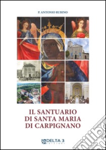 Il santuario di Santa Maria di Carpignano libro di Rubino Antonio