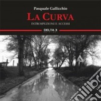 La curva. Introspezioni e accessi libro di Gallicchio Pasquale