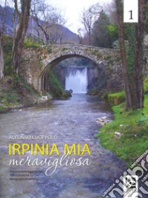 Irpinia mia meravigliosa. Ediz. illustrata. Vol. 1 libro di Cuoppolo Alfonso