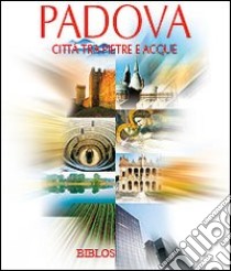 Padova. Città tra pietre e acque libro di Baldissin Molli G. (cur.)