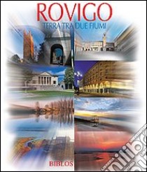 Rovigo. Terra tra due fiumi. Ediz. illustrata libro