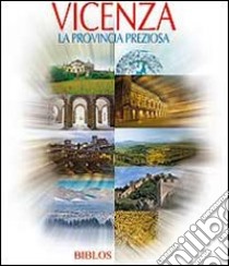 Vicenza. La provincia preziosa. Ediz. illustrata libro