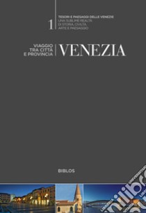 Venezia. Viaggio tra città e provincia libro