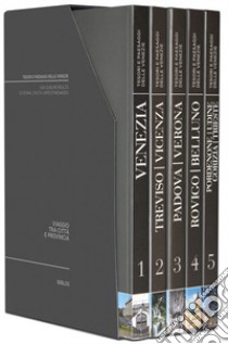 Viaggio tra città e provincia. Venezia-Treviso, Vicenza-Padova, Verona-Rovigo, Belluno-Pordenone, Udine, Gorizia, Trieste libro