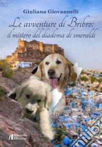 Le avventure di Bribro: il mistero del diadema di smeraldi libro di Giovannelli Giuliana