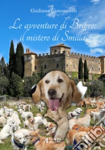 Le avventure di Bribro: il mistero di Smilla libro di Giovannelli Giuliana