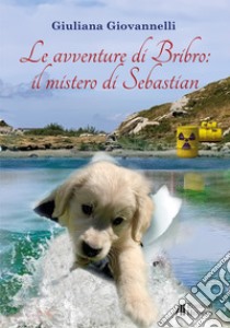 Le avventure di Bribro: il mistero di Sebastian libro di Giovannelli Giuliana