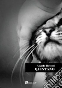 Quintano 11 libro di Belotti Angelo