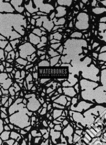 Waterbones. Loris Cecchini. Ediz. italiana e inglese libro