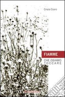 Fiamme che osiamo toccare libro di Coaro Cinzia M.