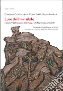 Luce dell'invisibile. Itinerario del mosaico intorno al Mediterraneo orientale libro di Concina Elisabetta; Flores David Anna; Guidetti Mattia