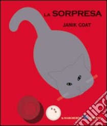 La sorpresa. Ediz. illustrata libro di Coat Janik