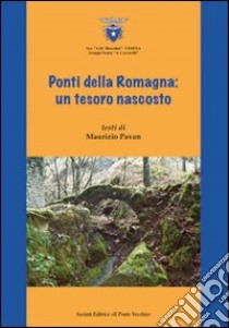 Ponti della Romagna. Un tesoro nascosto libro di Pavan Maurizio